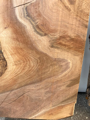 Black Walnut - Live Edge Character Boards