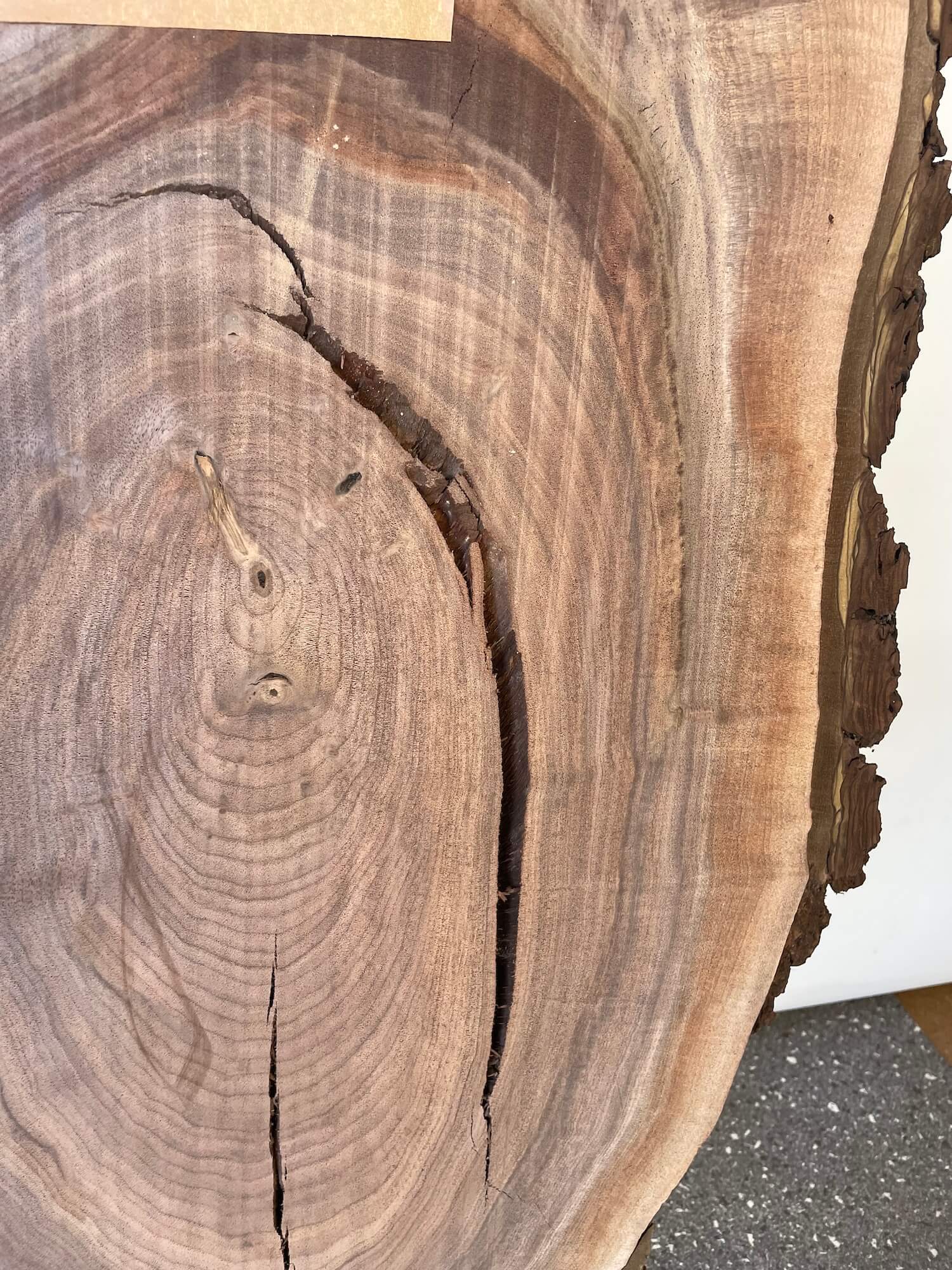 Black Walnut - Live Edge Character Boards