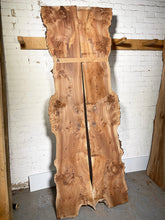 Elm - Bookmatched Pair