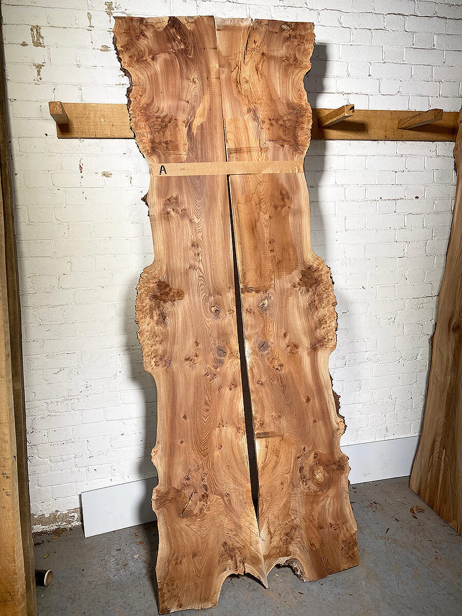 Elm - Bookmatched Pair