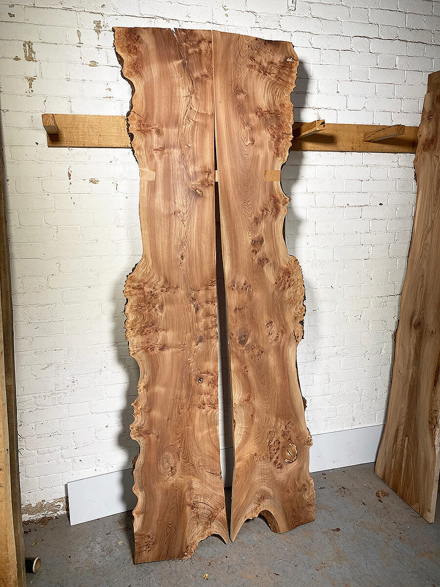 Elm - Bookmatched Pair