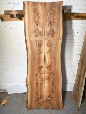 Elm - Bookmatched Pair