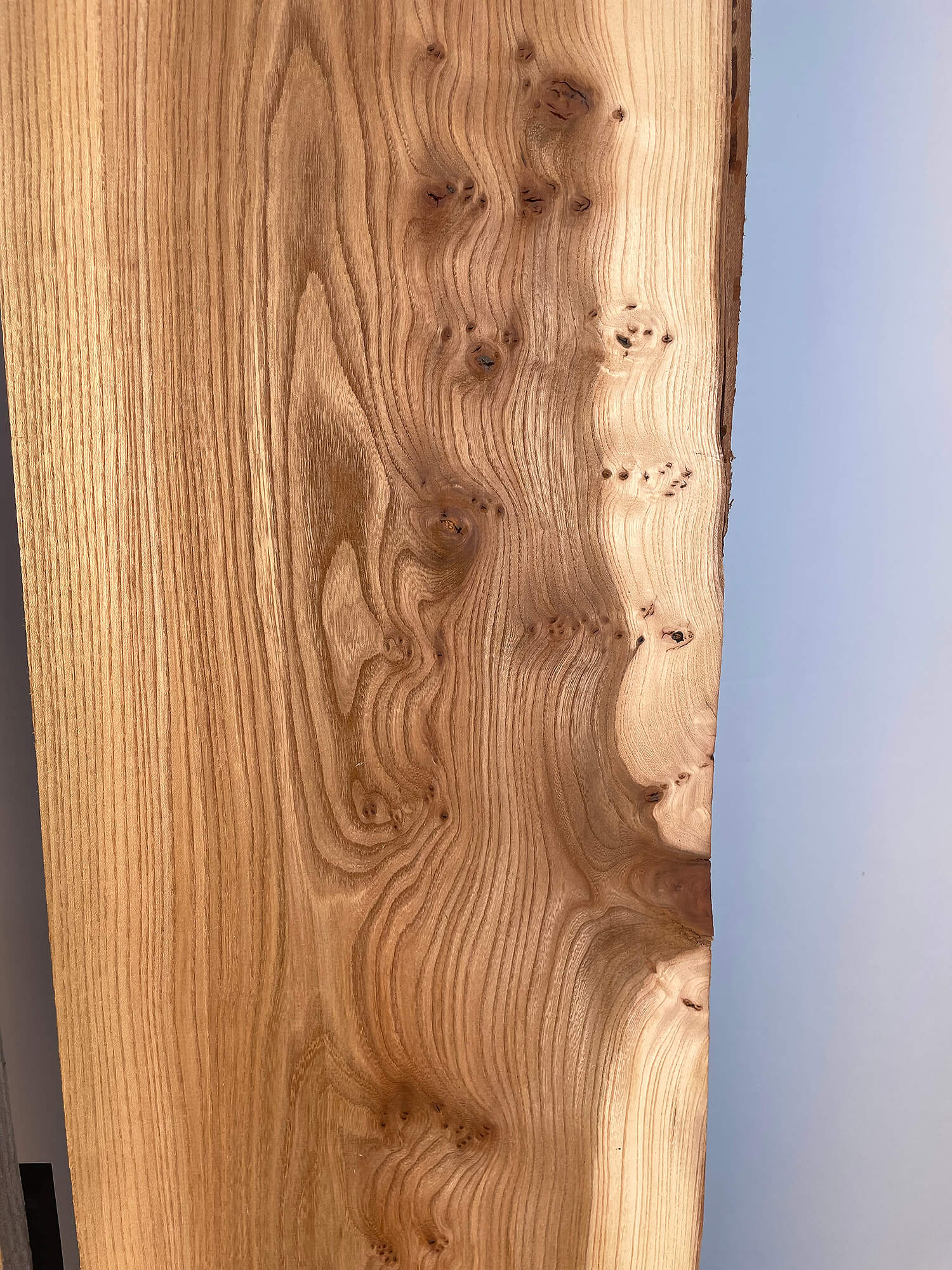 Elm - Bookmatched Pair