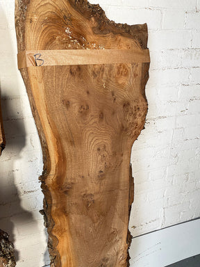 Elm - Bookmatched Wood Boards