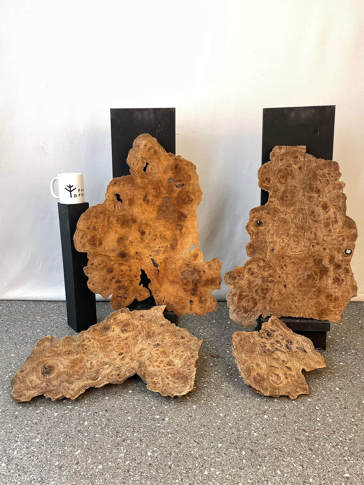 Elm - Burr Boards (Timber Pack)