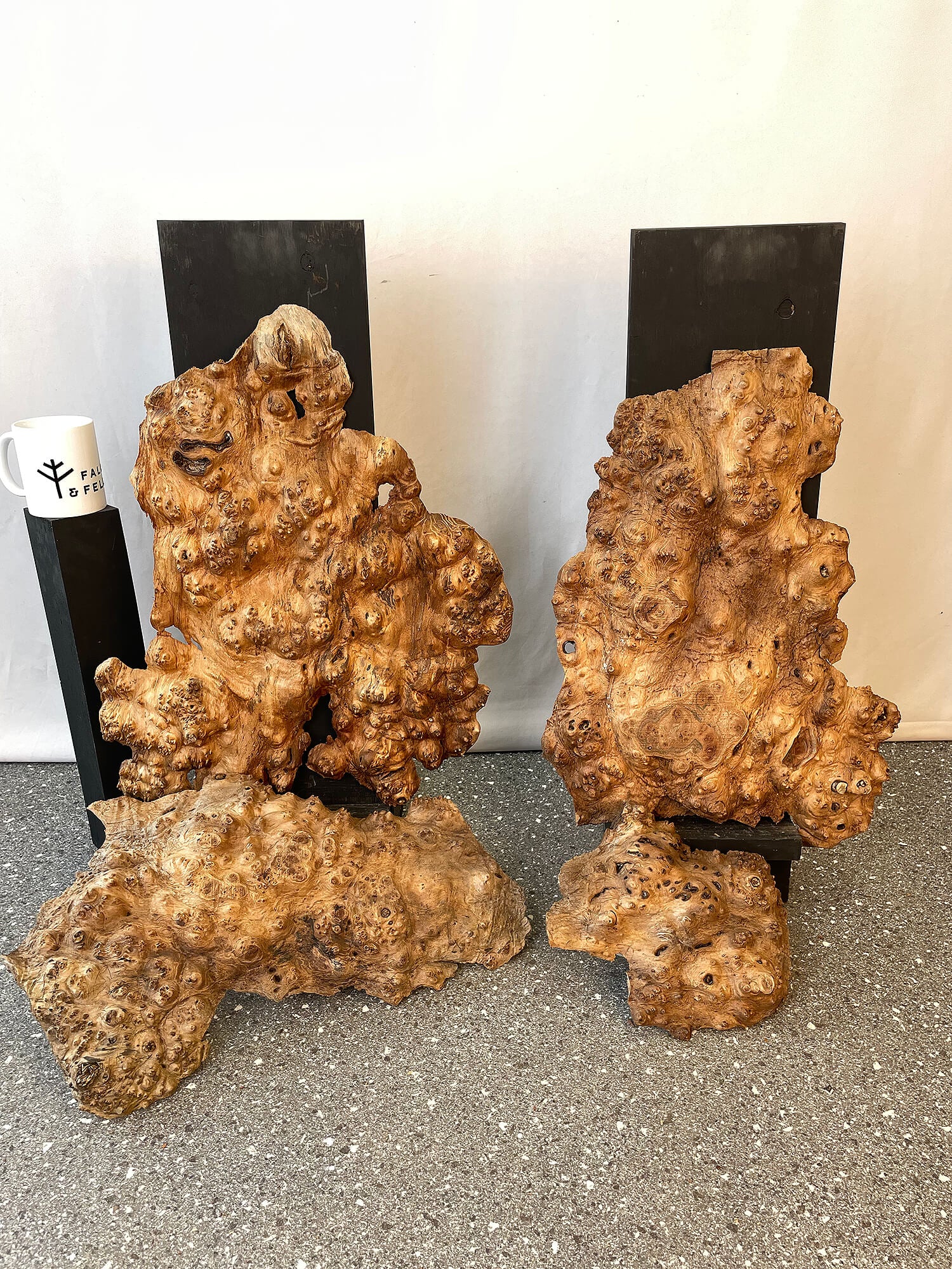 Elm - Burr Boards (Timber Pack)