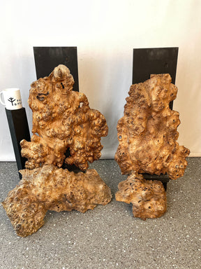Elm - Burr Boards (Timber Pack)