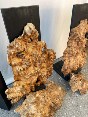 Elm - Burr Boards (Timber Pack)