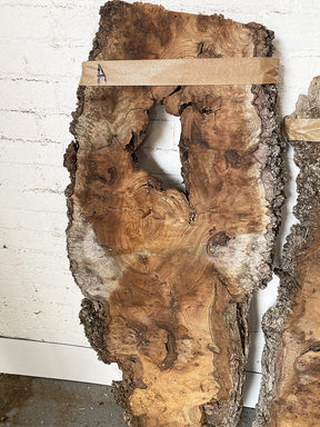 Elm - Burry Live Edge Boards