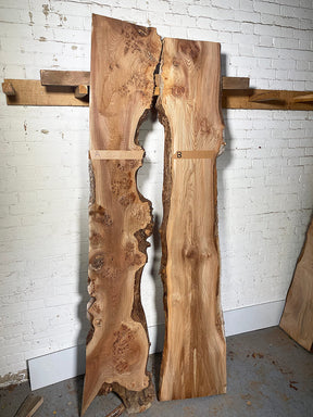 Elm - Burry Live Edge Boards