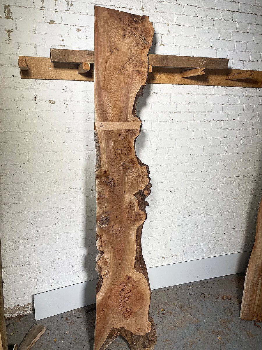 Elm - Burry Live Edge Boards