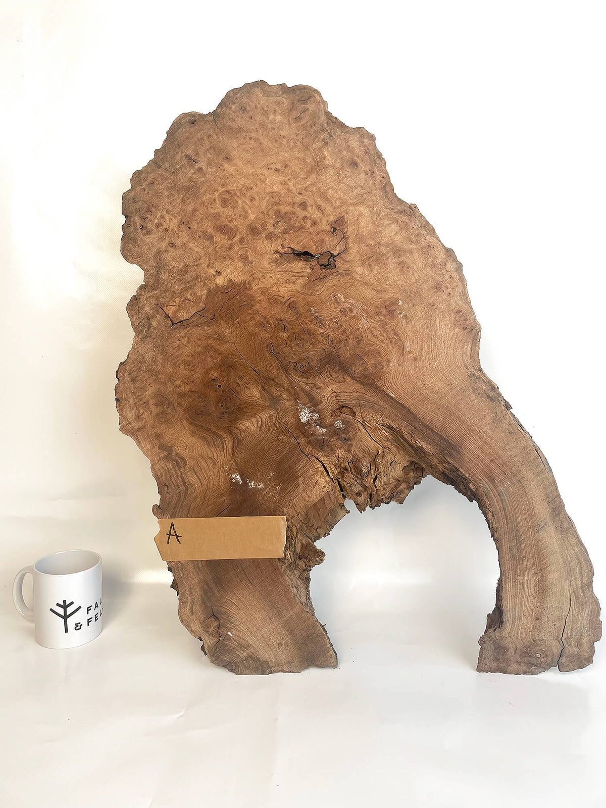 Elm - Character Burr Board