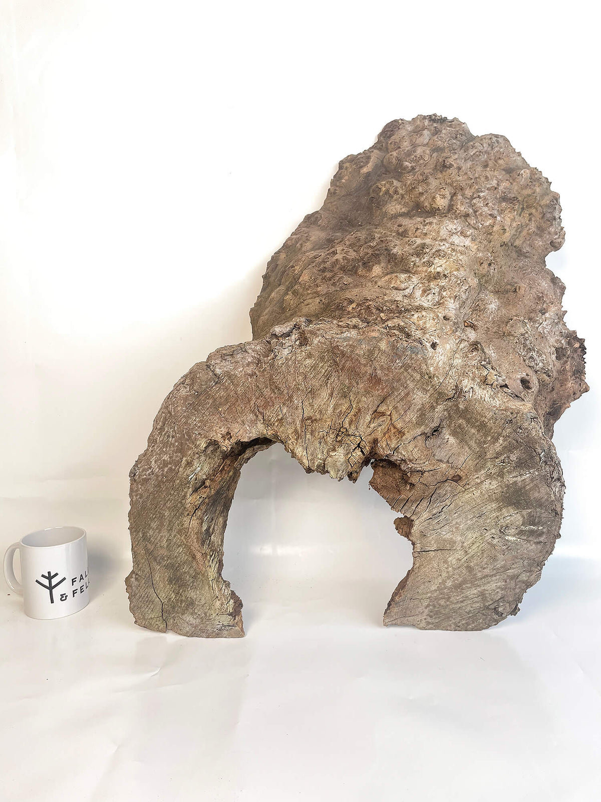 Elm - Character Burr Board