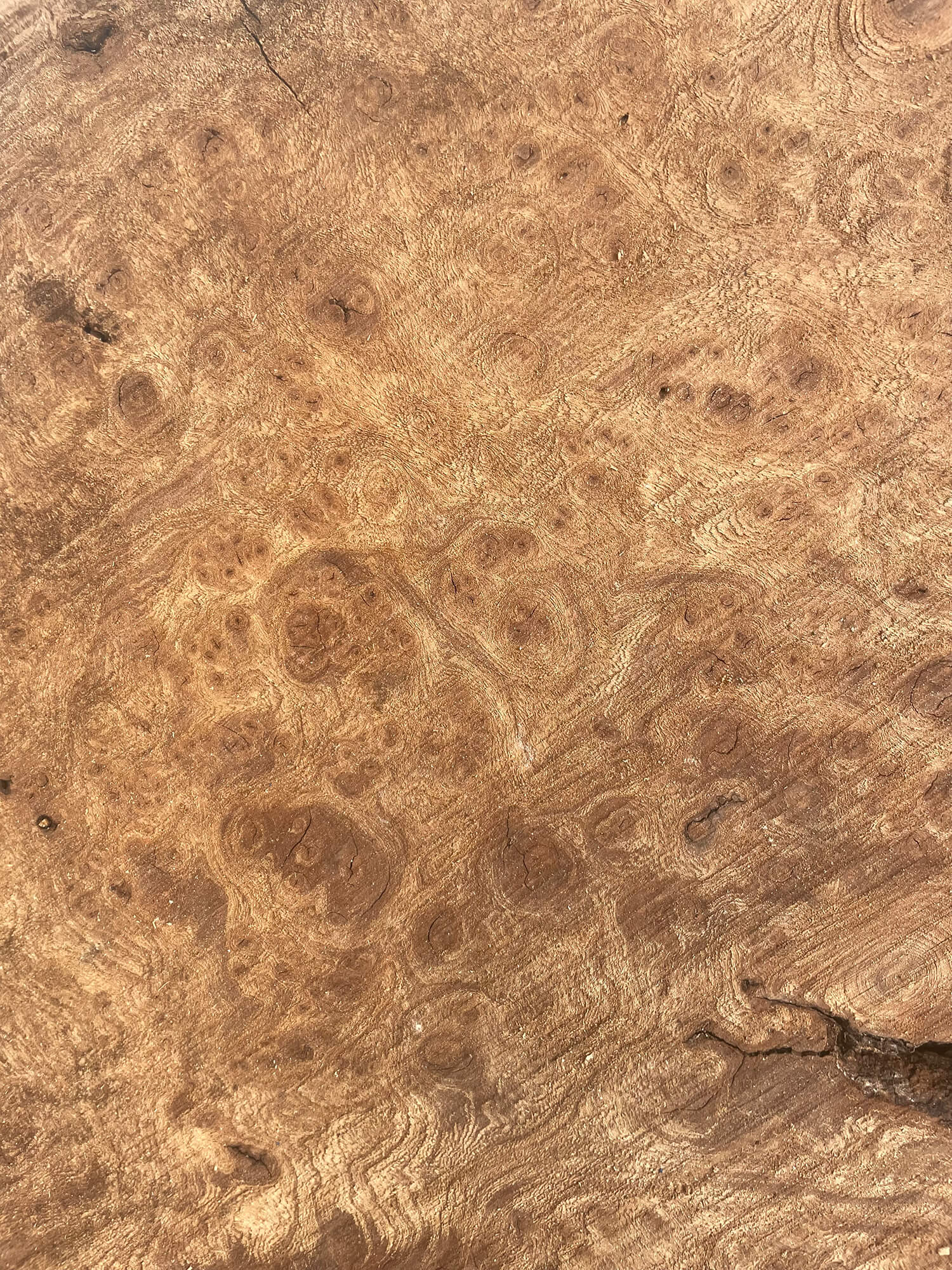 Elm - Character Burr Board