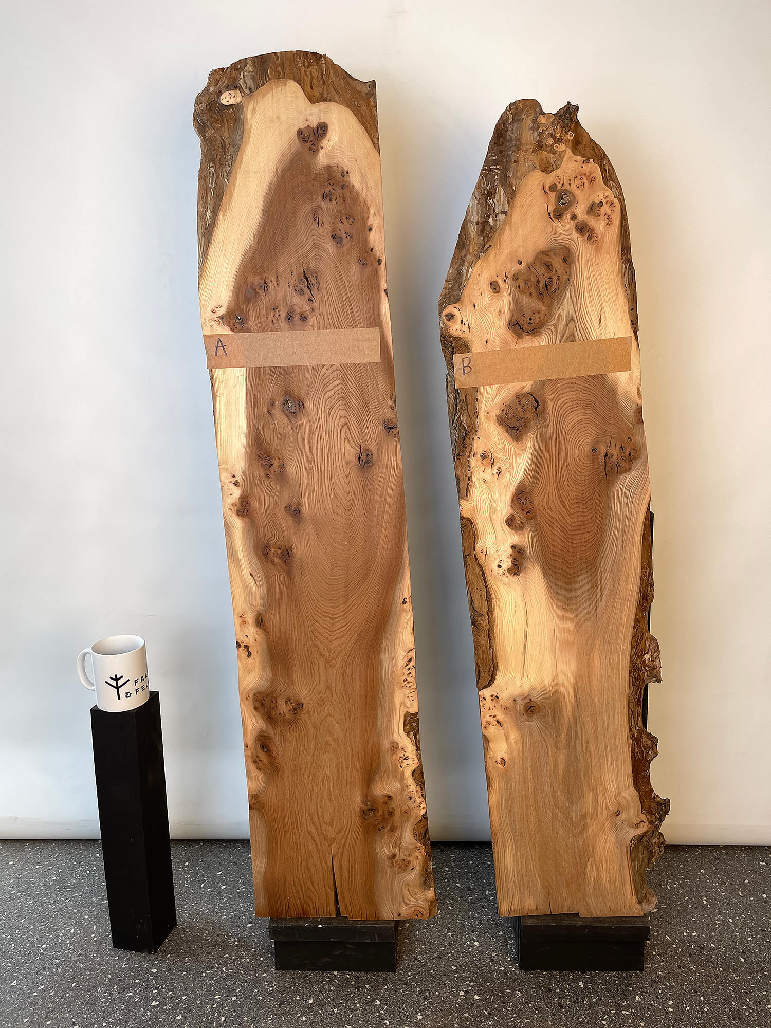 Elm - Character Burr Boards