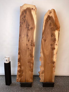 Elm - Character Burr Boards