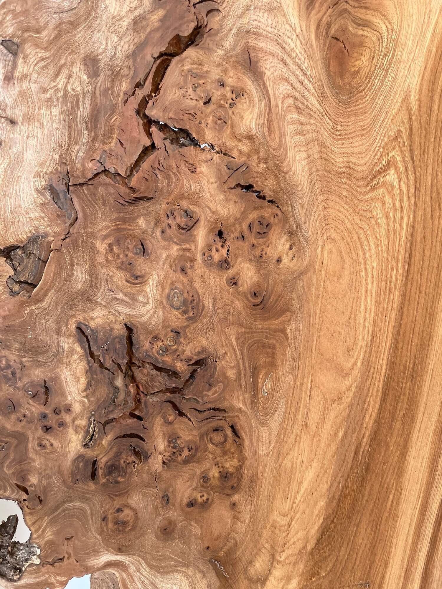 Elm - Character Burr Boards