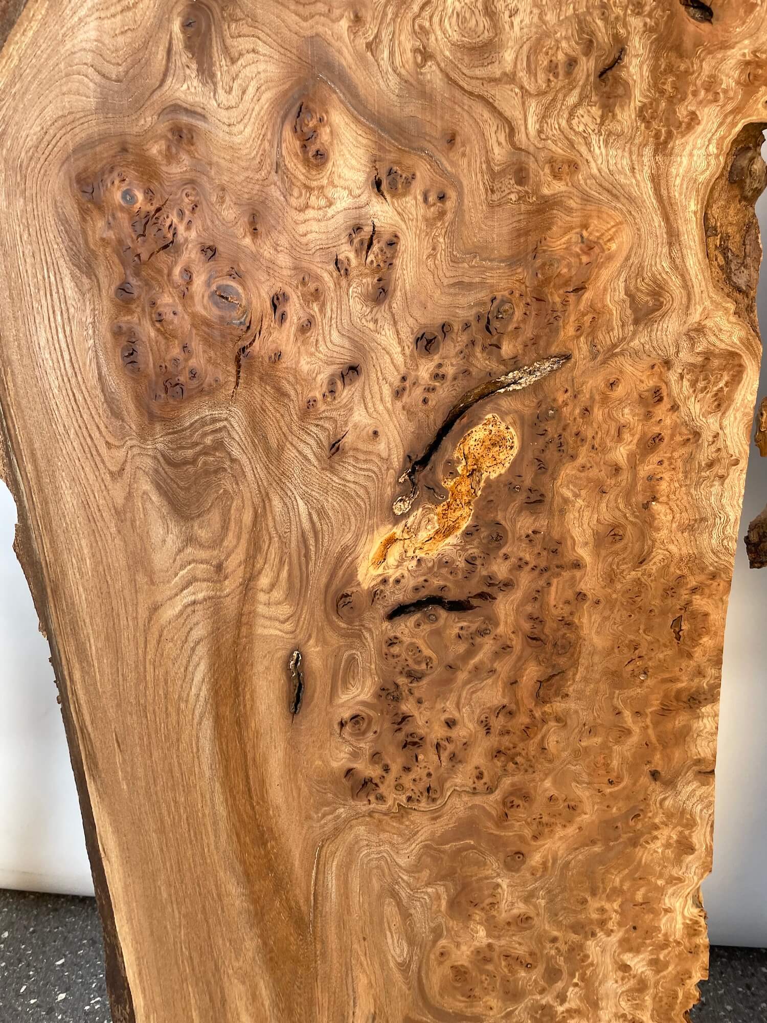 Elm - Character Burr Boards