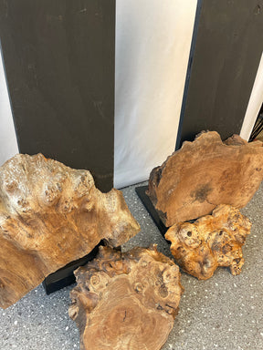 Elm - Character Burr Boards (Timber Pack)