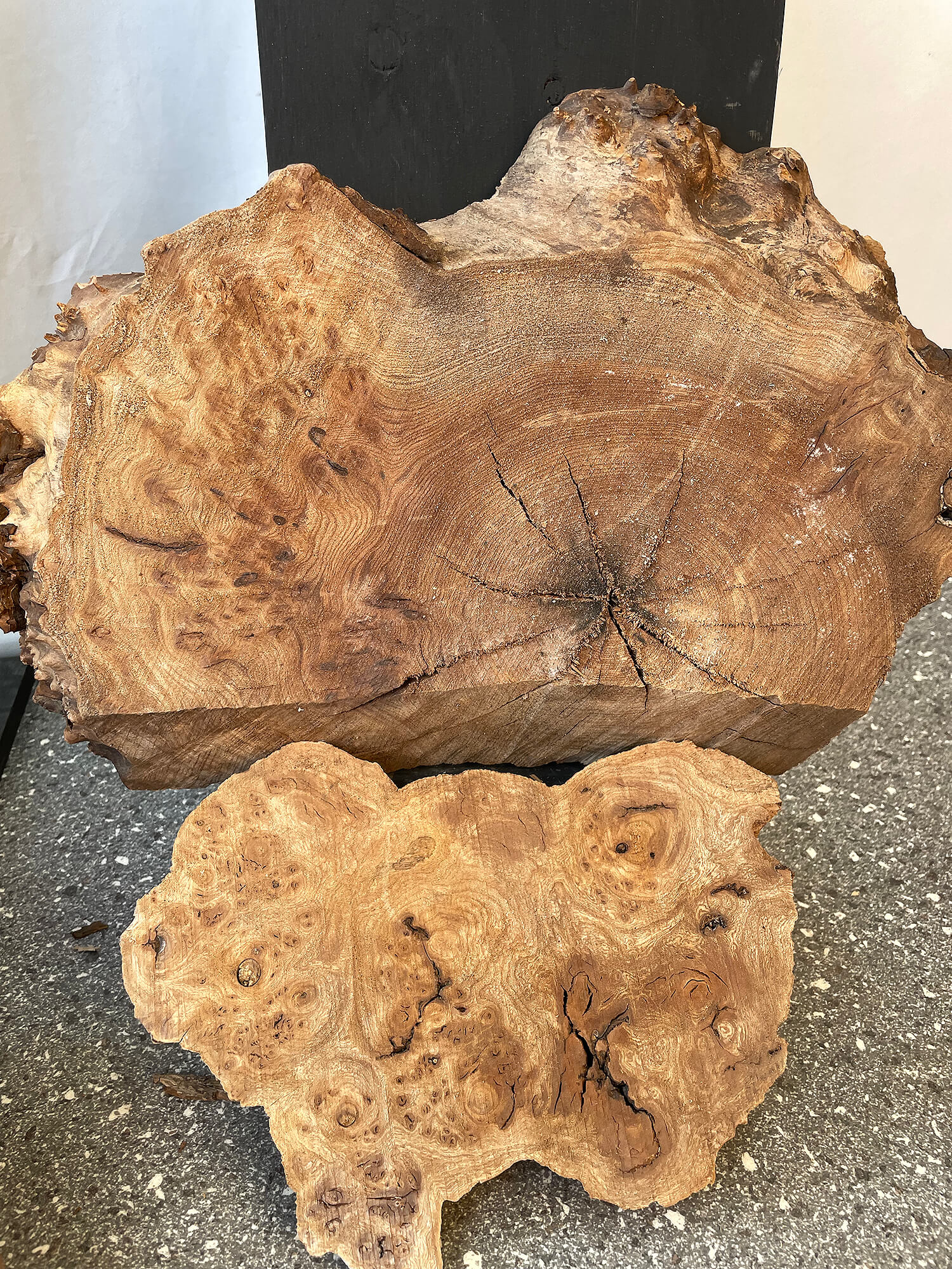 Elm - Character Burr Boards (Timber Pack)