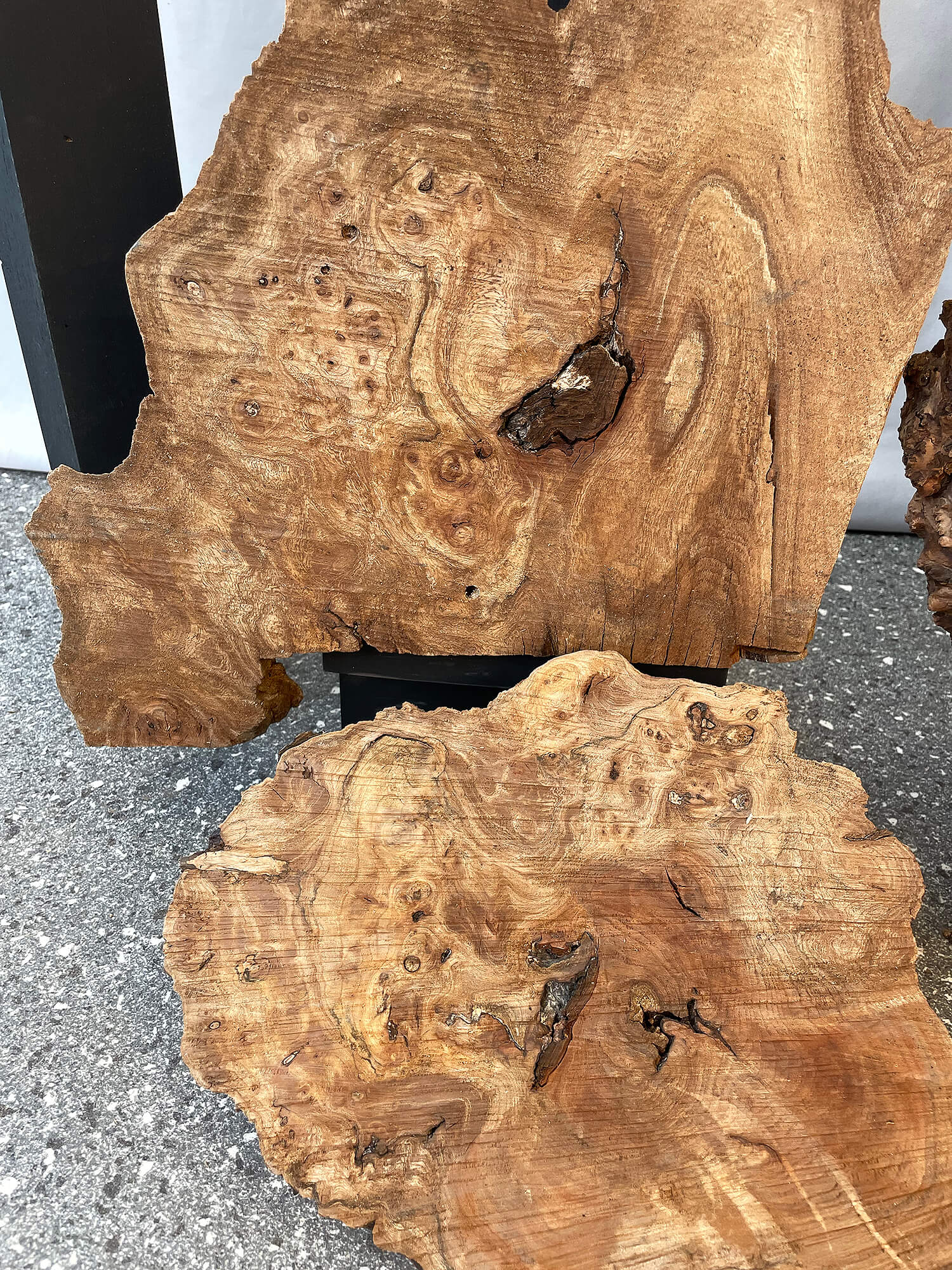 Elm - Character Burr Boards (Timber Pack)