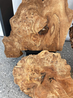 Elm - Character Burr Boards (Timber Pack)