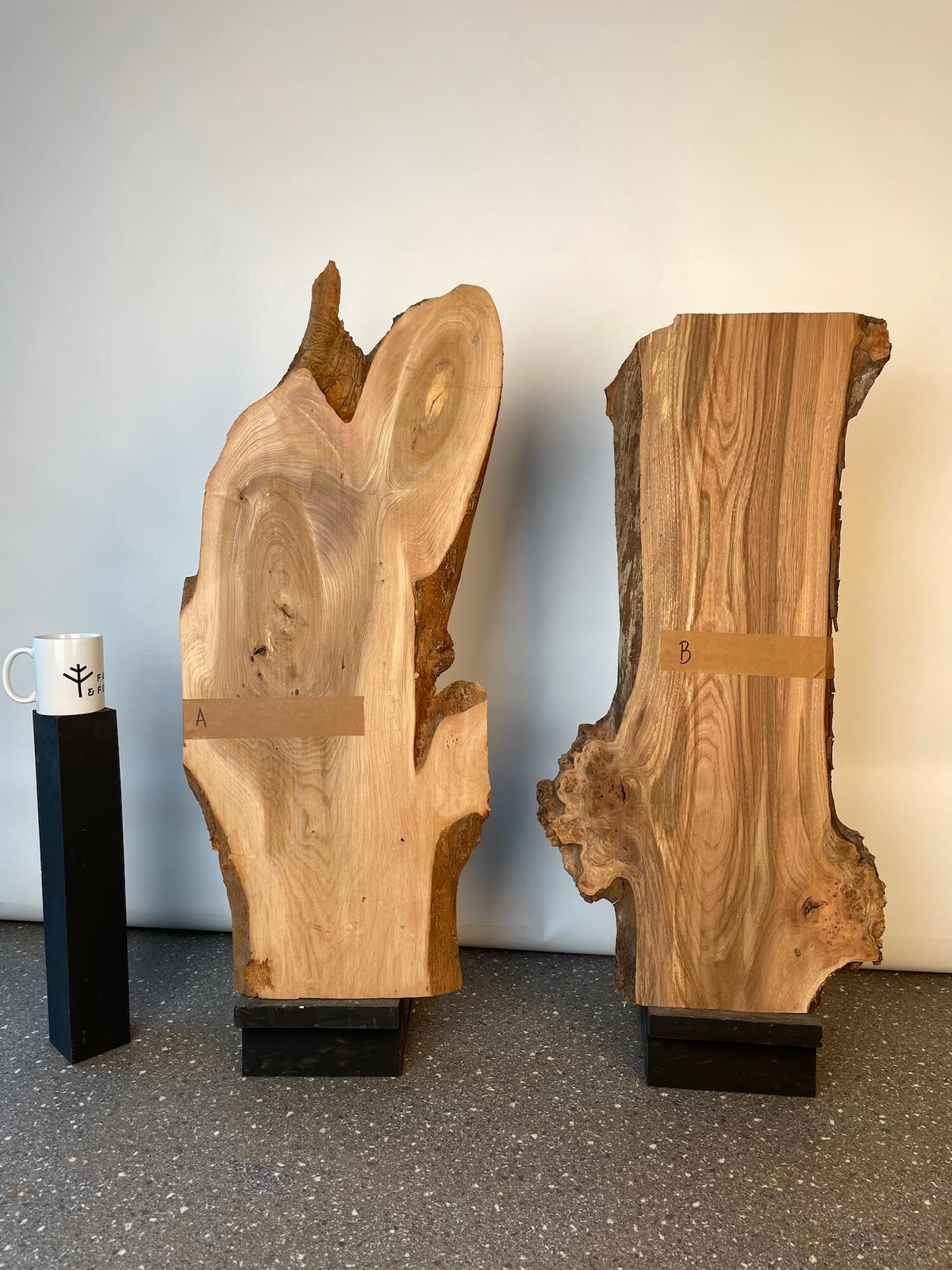 Elm - Double Waney Edge Pair