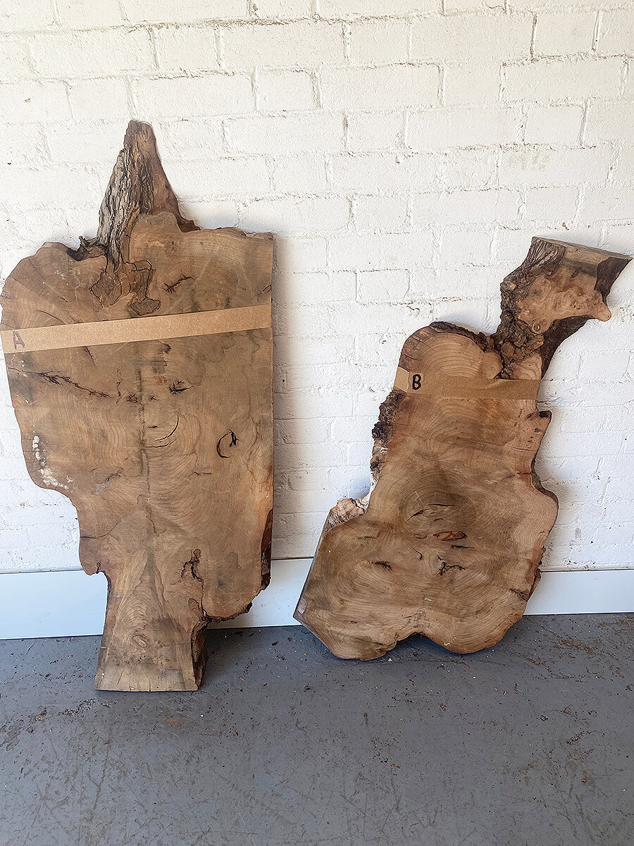 Elm - Live Edge Boards