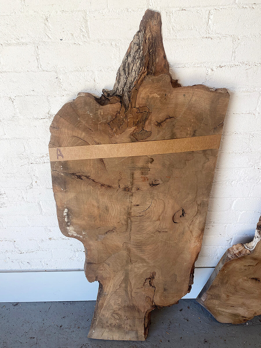 Elm - Live Edge Boards