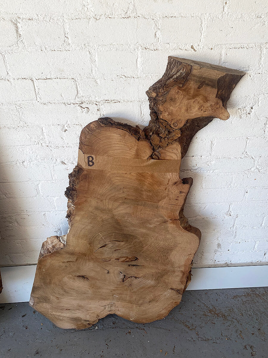 Elm - Live Edge Boards
