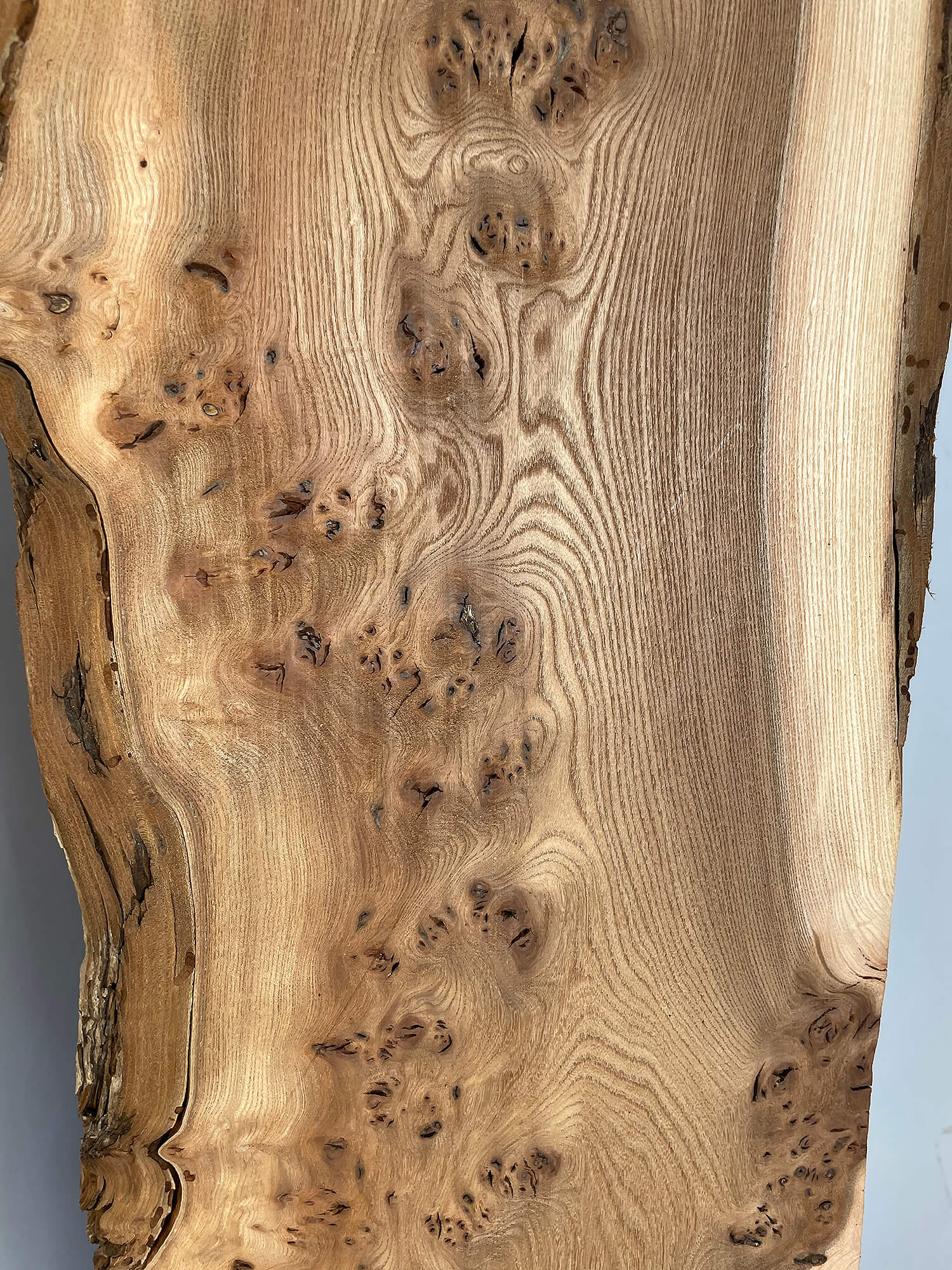 Elm - Live Edge Boards