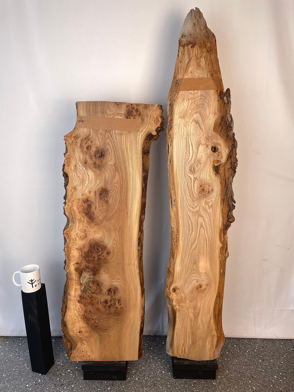 Elm - Live Edge Boards