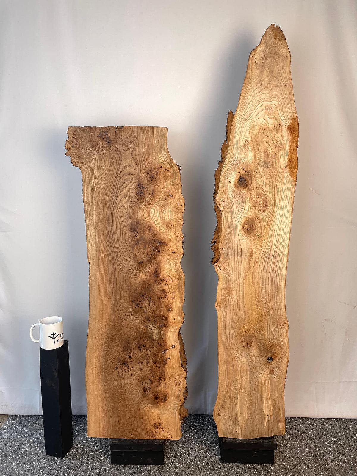 Elm - Live Edge Boards