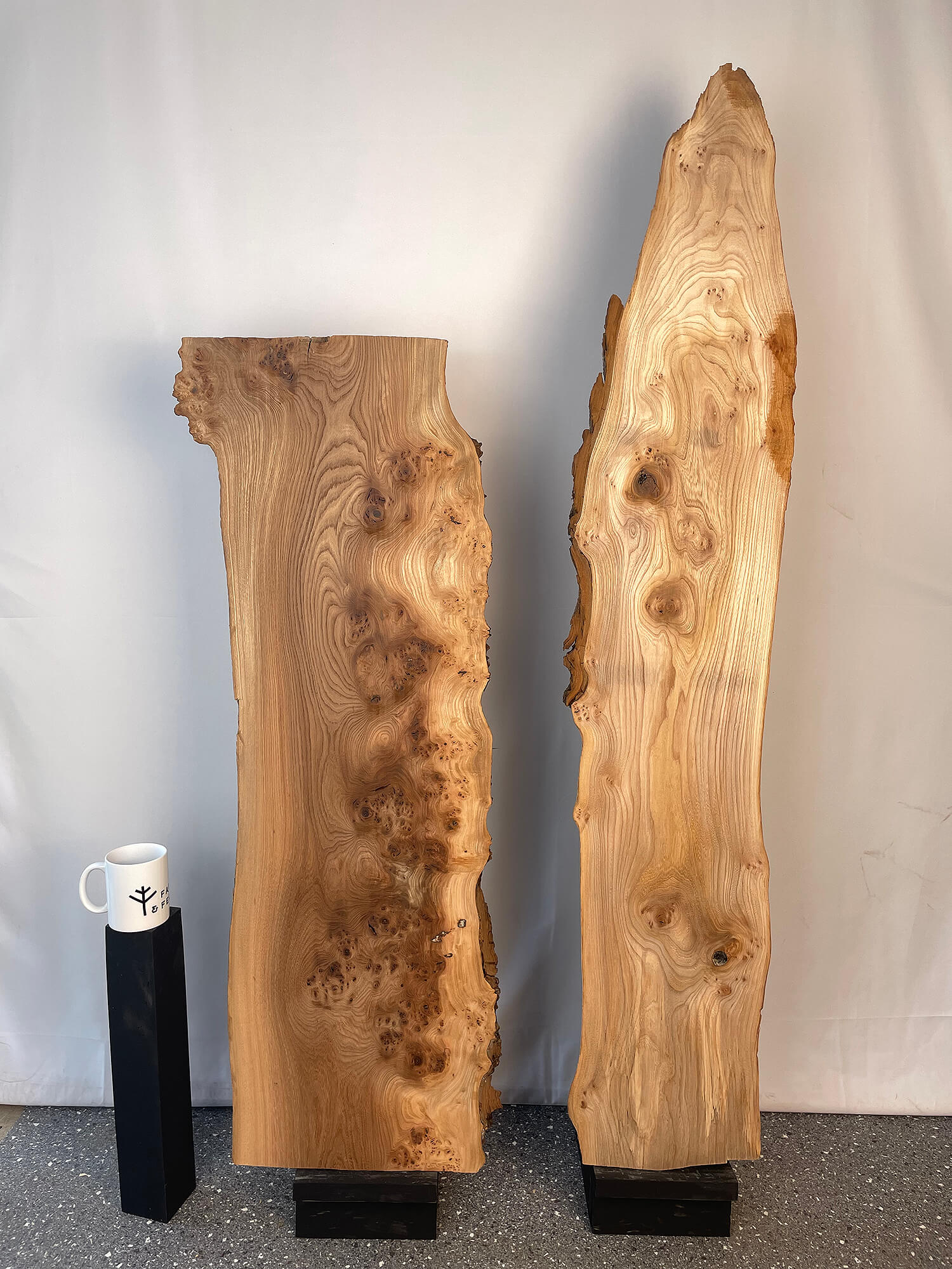Elm - Live Edge Boards