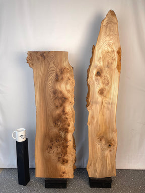 Elm - Live Edge Boards