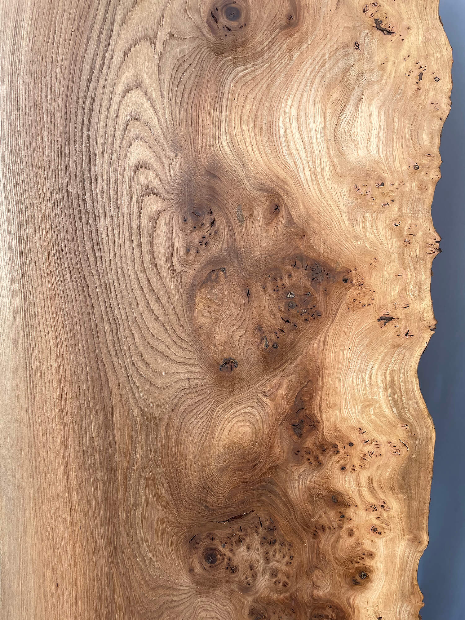 Elm - Live Edge Boards