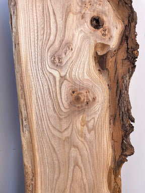 Elm - Live Edge Boards
