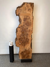 Elm - Live Edge Burr Board