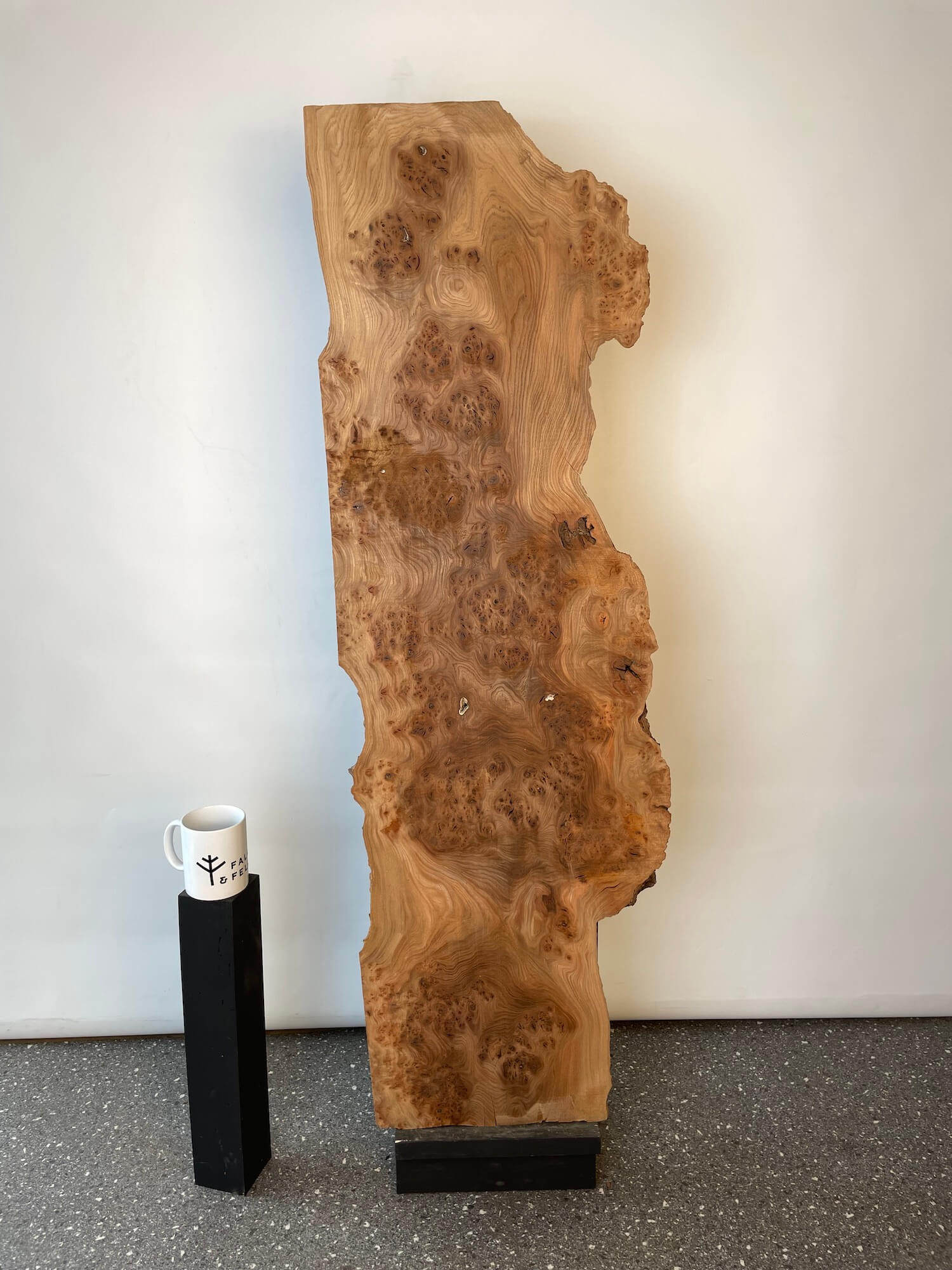 Elm - Live Edge Burr Board