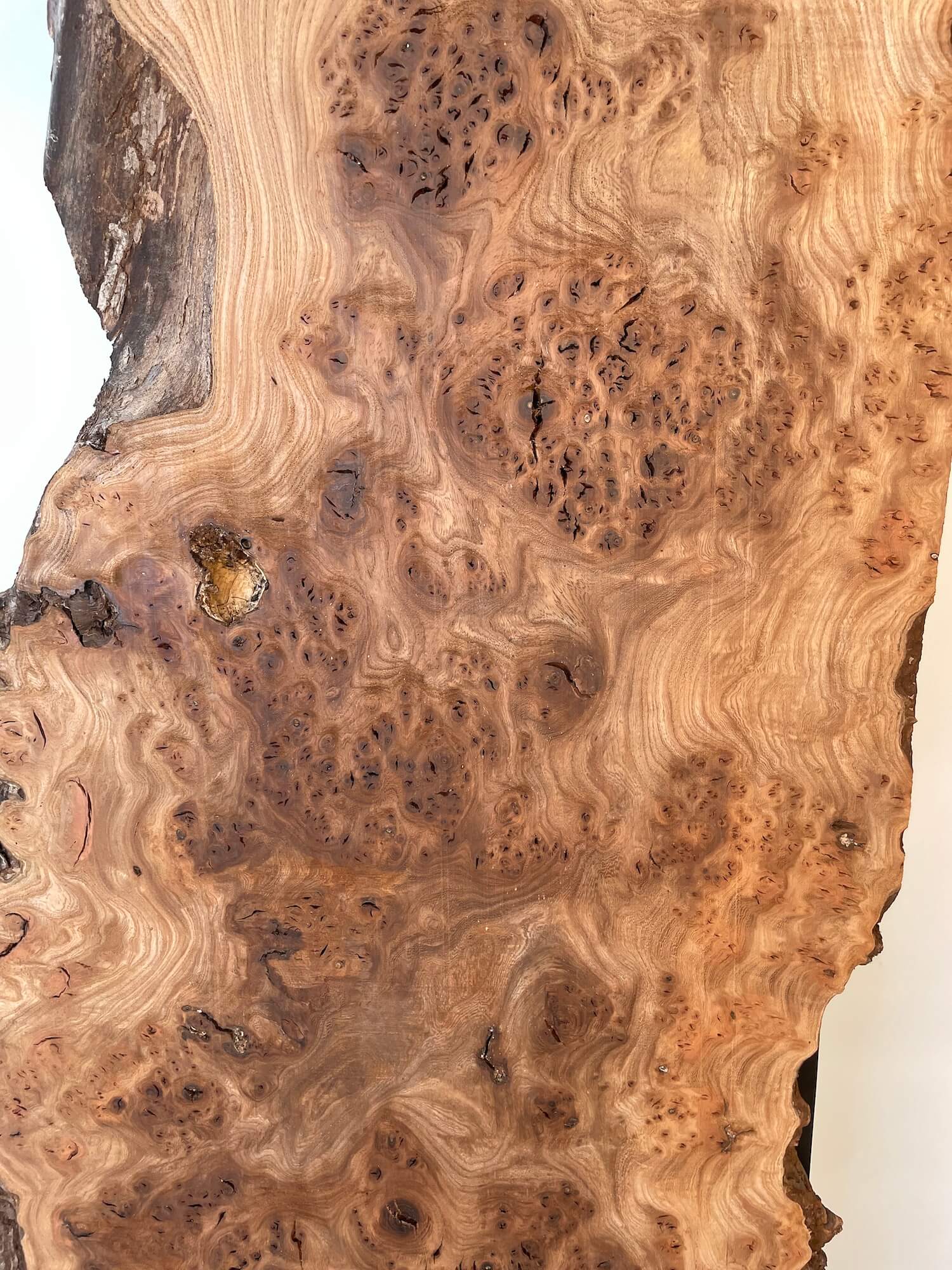 Elm - Live Edge Burr Board
