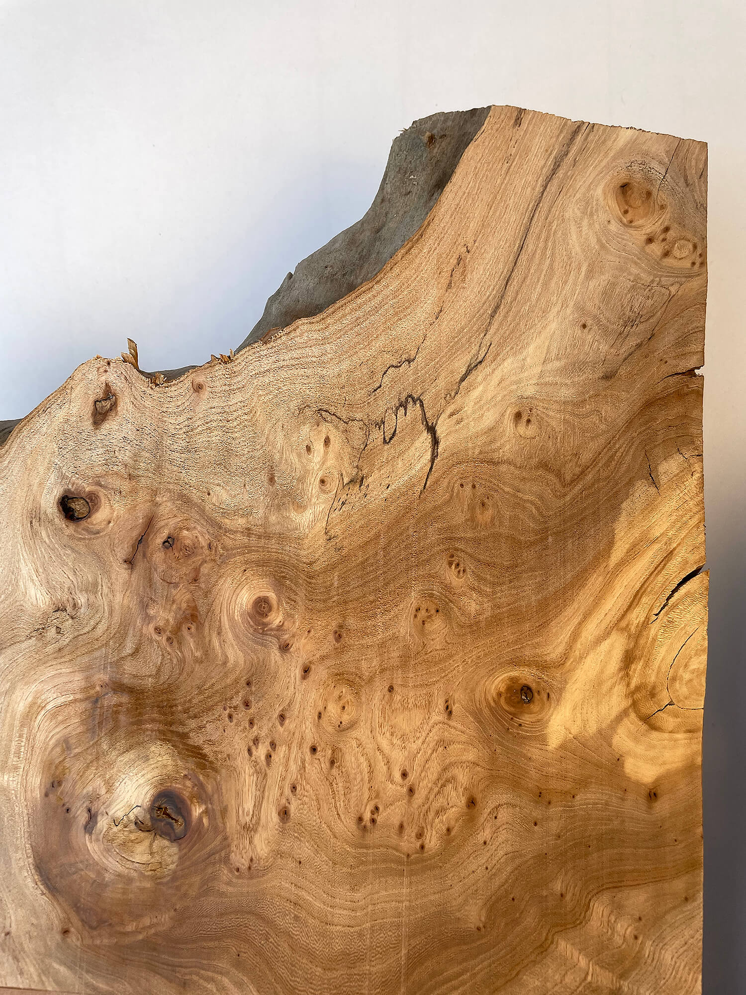 Elm - Live Edge Burr Boards