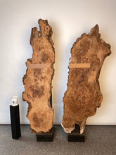 Elm - Live Edge Burr Boards