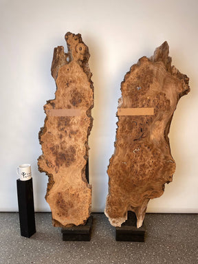 Elm - Live Edge Burr Boards