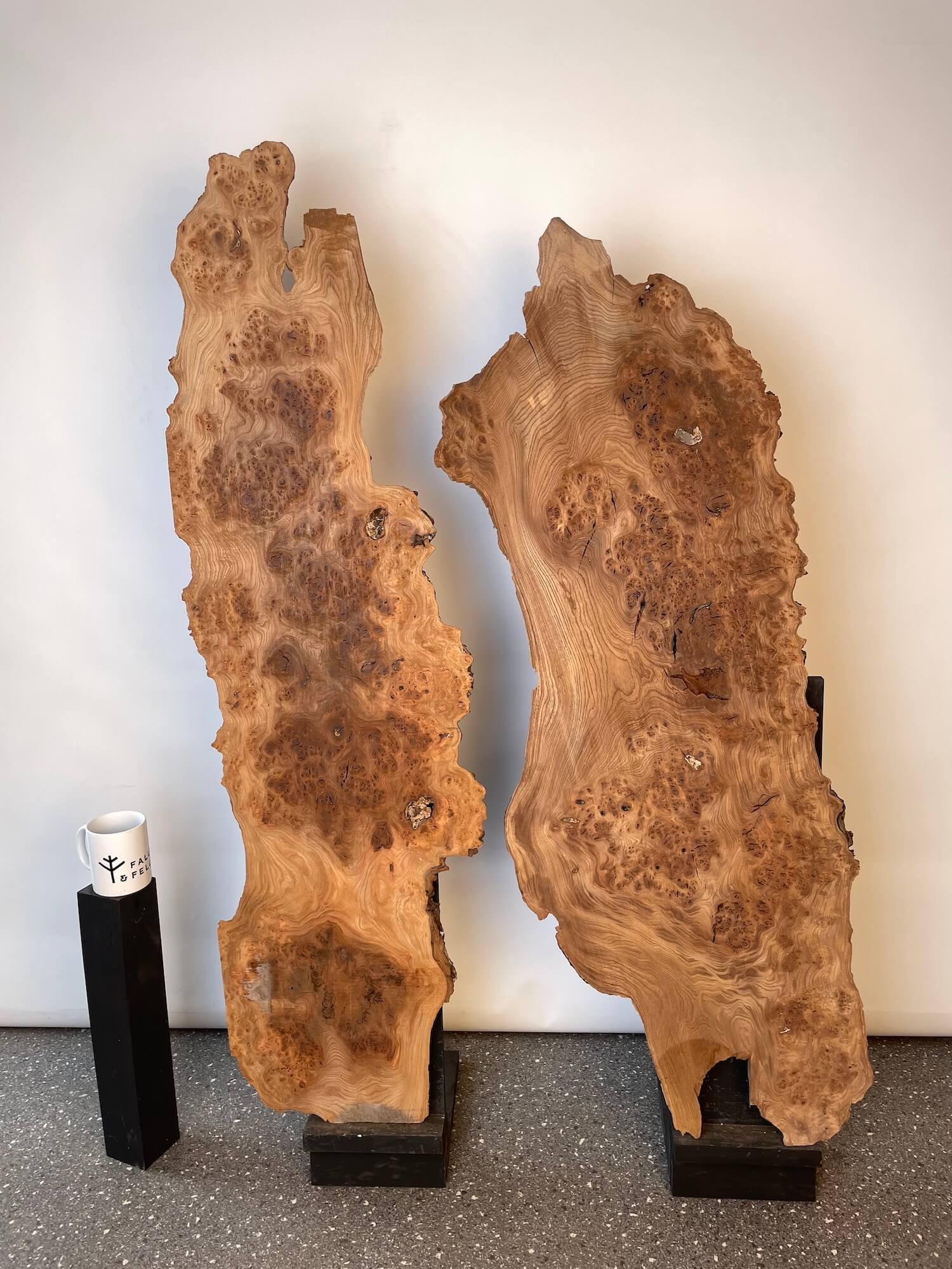 Elm - Live Edge Burr Boards