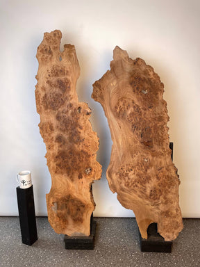 Elm - Live Edge Burr Boards