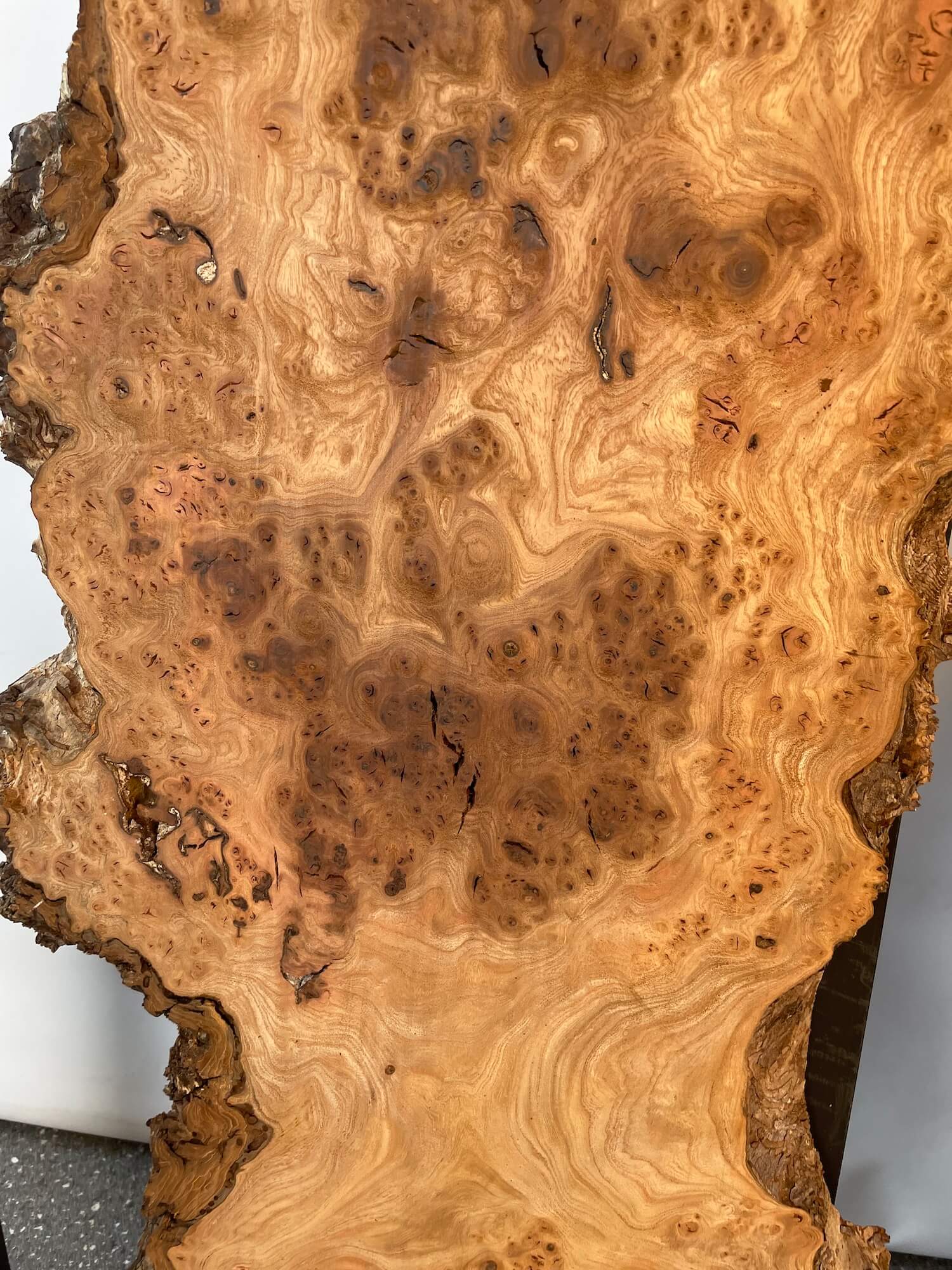 Elm - Live Edge Burr Boards