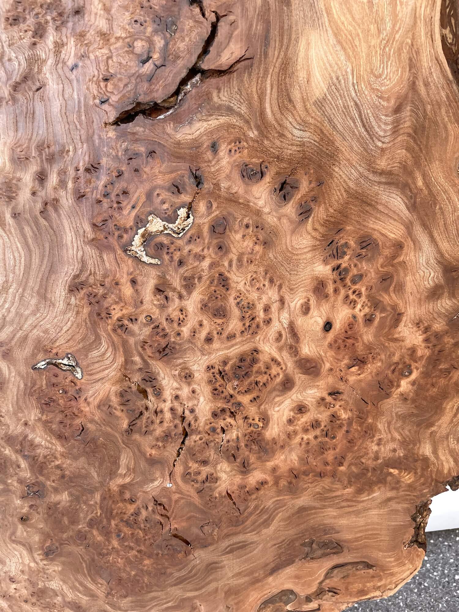 Elm - Live Edge Burr Boards