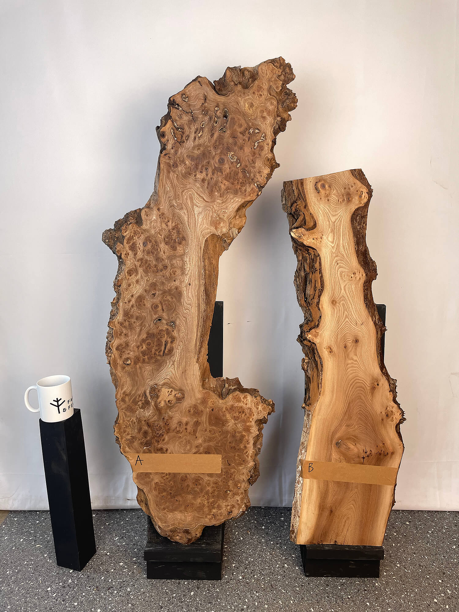 Elm - Live Edge Burr Boards