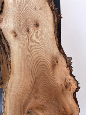 Elm - Live Edge Burr Boards