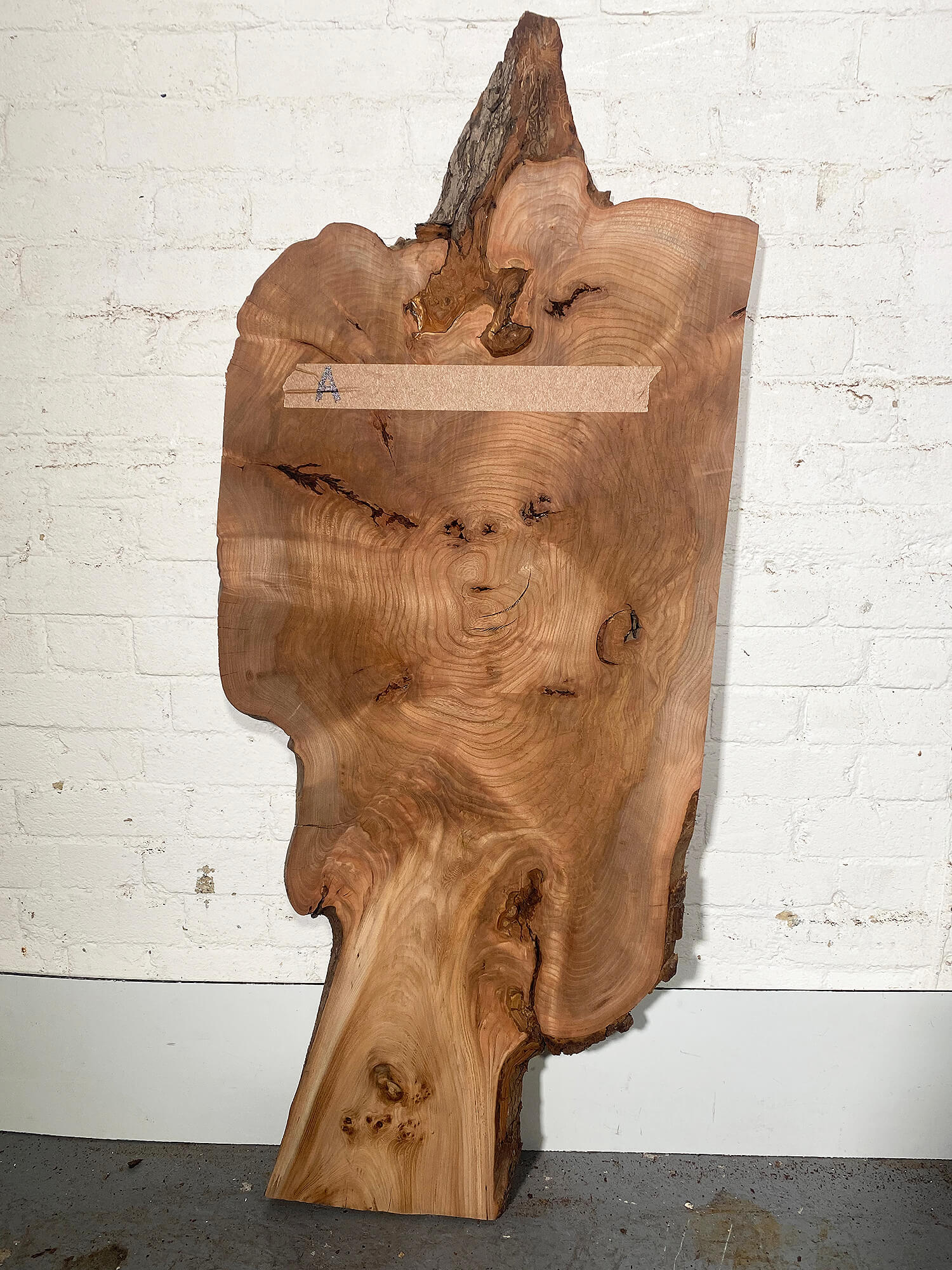 Elm - Live Edge Character Board